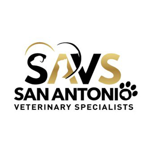 SAVS_main_logo-300x168